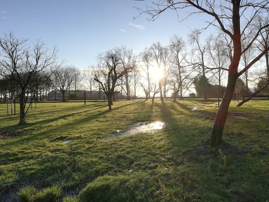 'T Winkeltje - Vakantiehuisje Op Boerderij Huize Blokland Hem Exterior foto